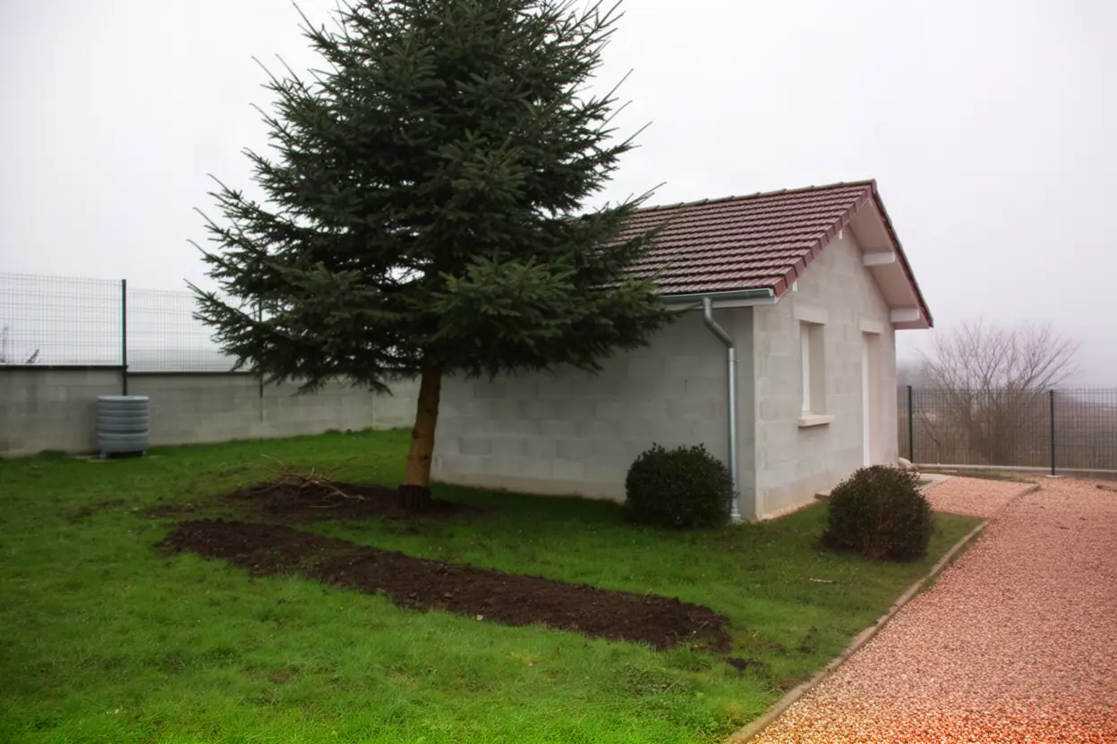 Épicéa incliné près d'une dépendance à Beure
